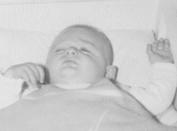 ku_krenn.gif (21990 Byte)